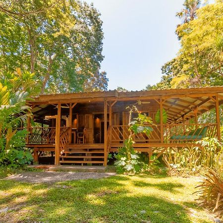 Casa Viva Lodge Puerto Viejo de Talamanca Zewnętrze zdjęcie