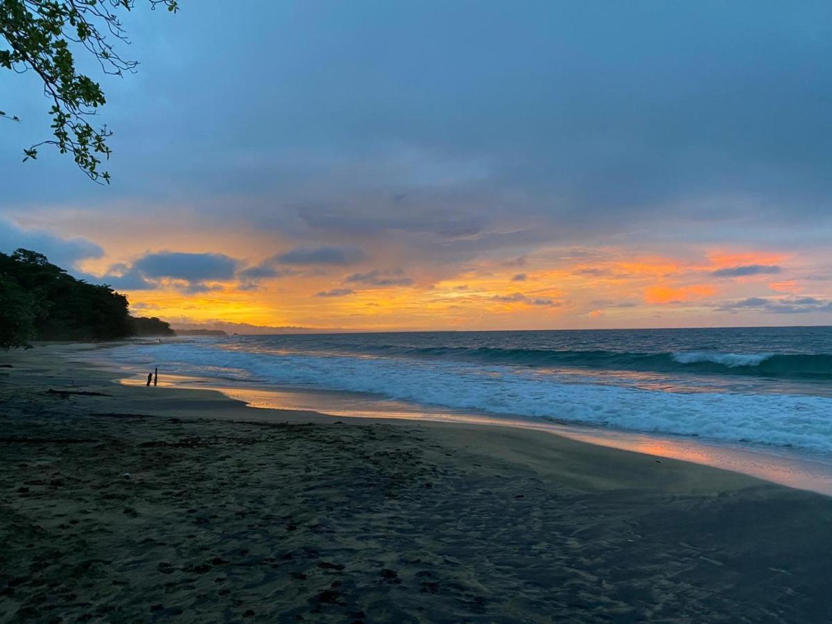 Casa Viva Lodge Puerto Viejo de Talamanca Zewnętrze zdjęcie