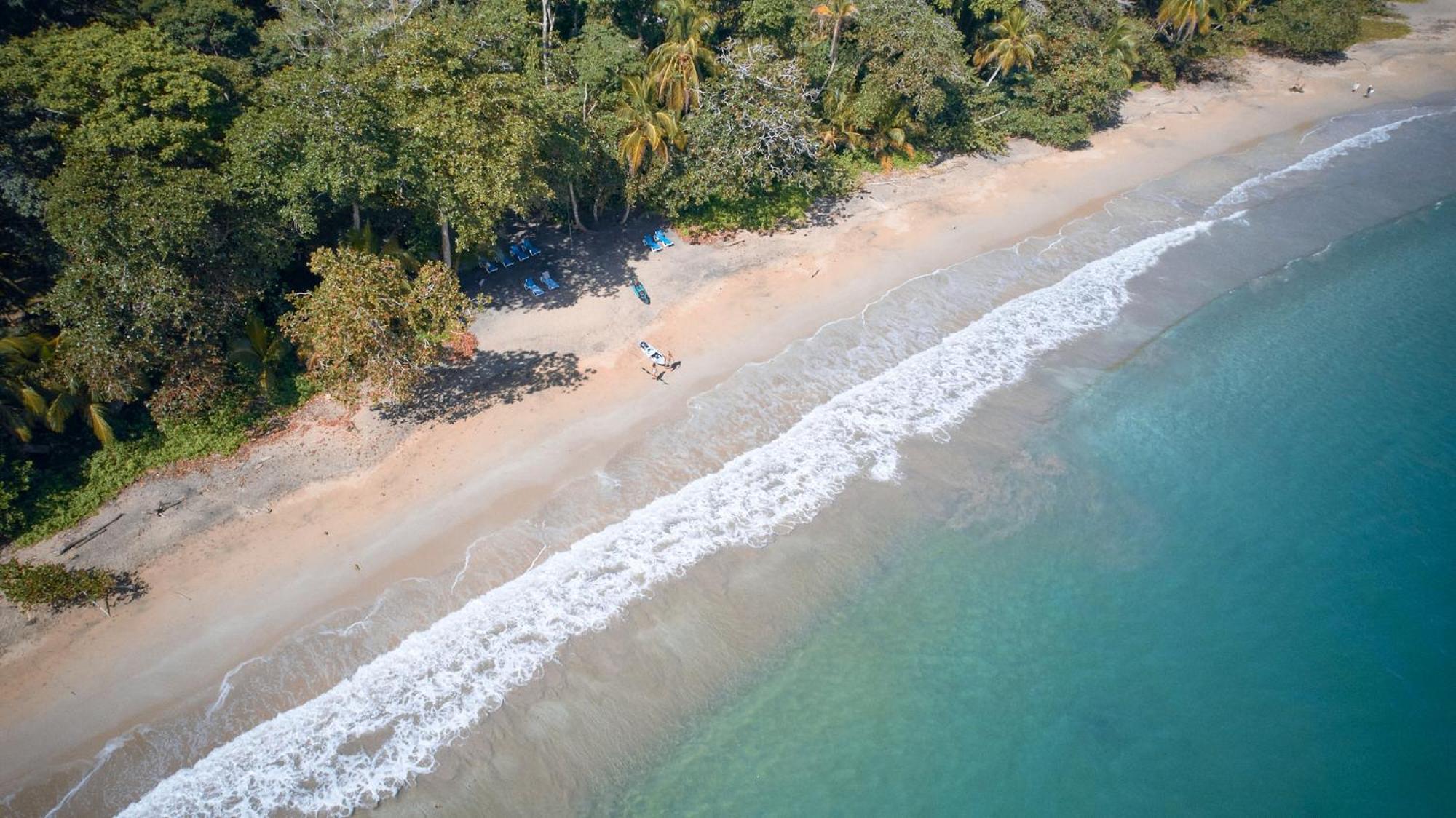 Casa Viva Lodge Puerto Viejo de Talamanca Zewnętrze zdjęcie
