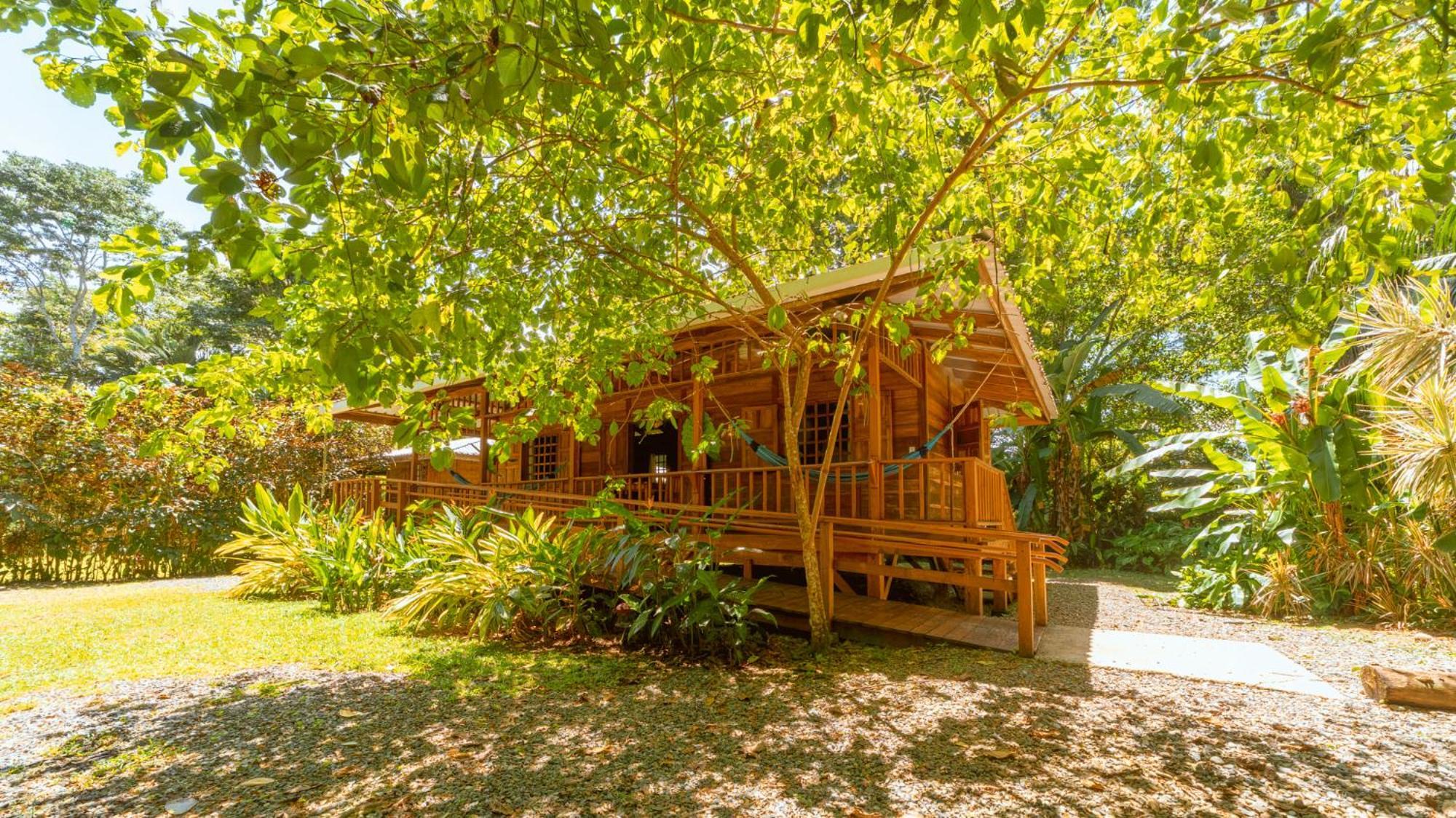 Casa Viva Lodge Puerto Viejo de Talamanca Zewnętrze zdjęcie