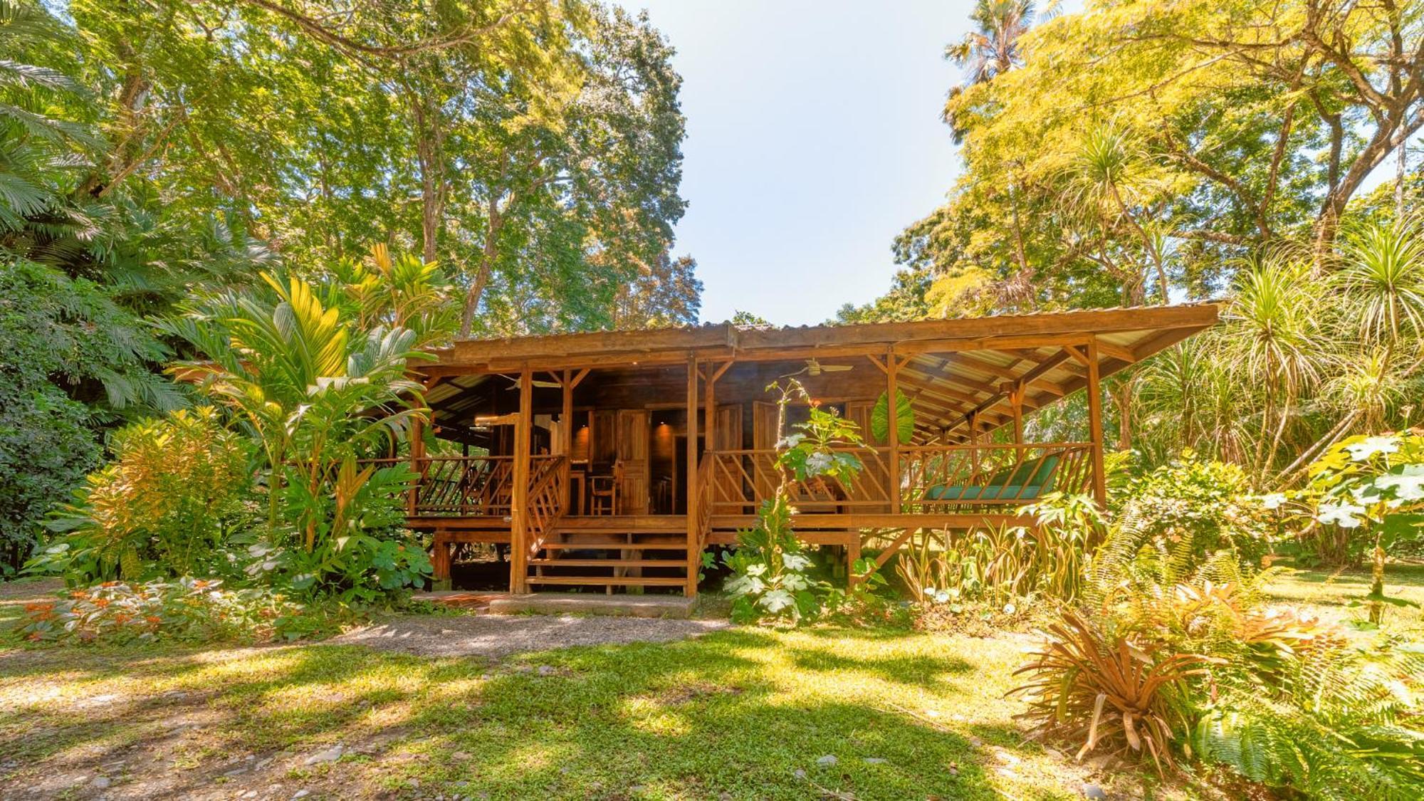 Casa Viva Lodge Puerto Viejo de Talamanca Zewnętrze zdjęcie