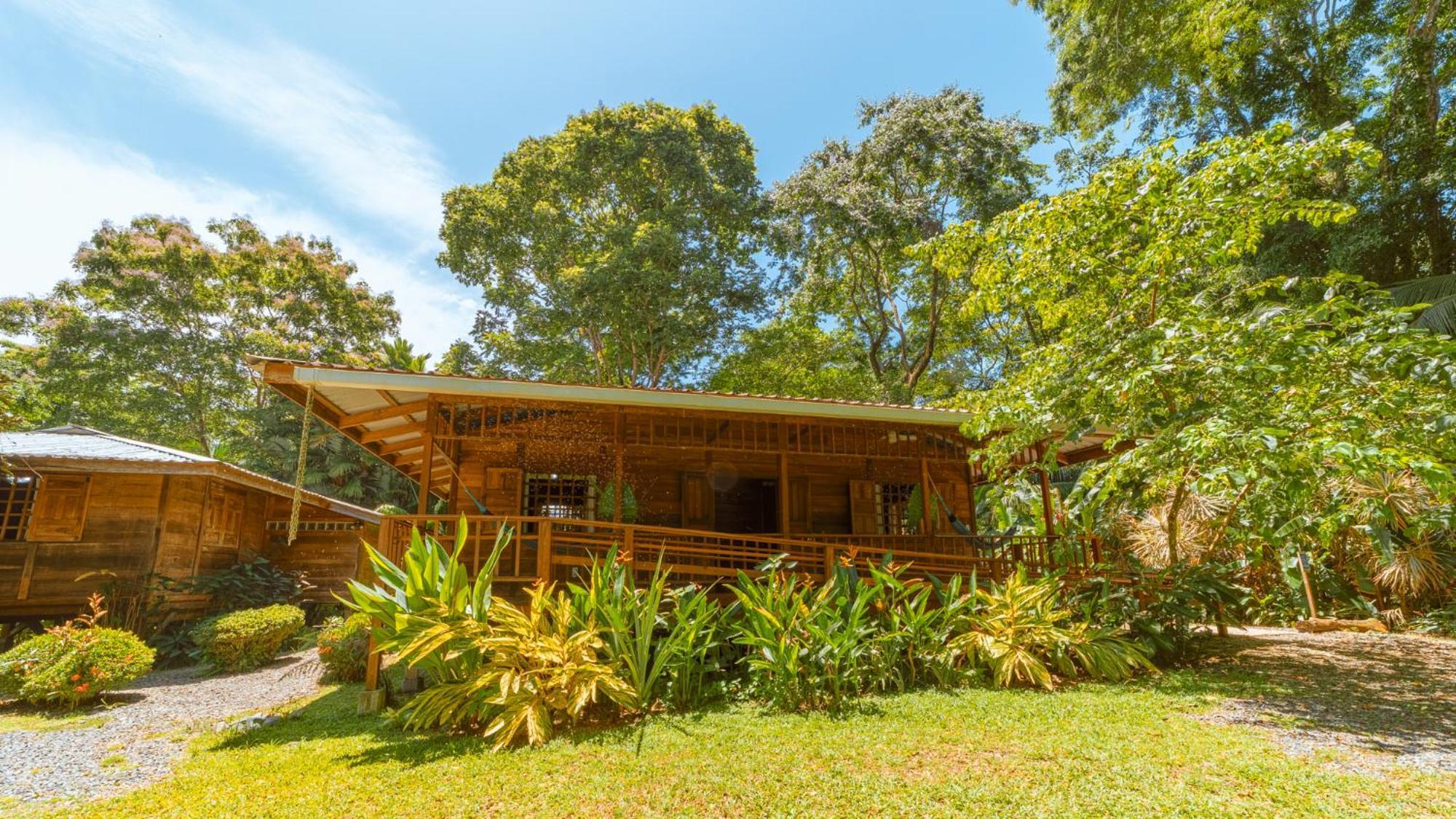 Casa Viva Lodge Puerto Viejo de Talamanca Zewnętrze zdjęcie
