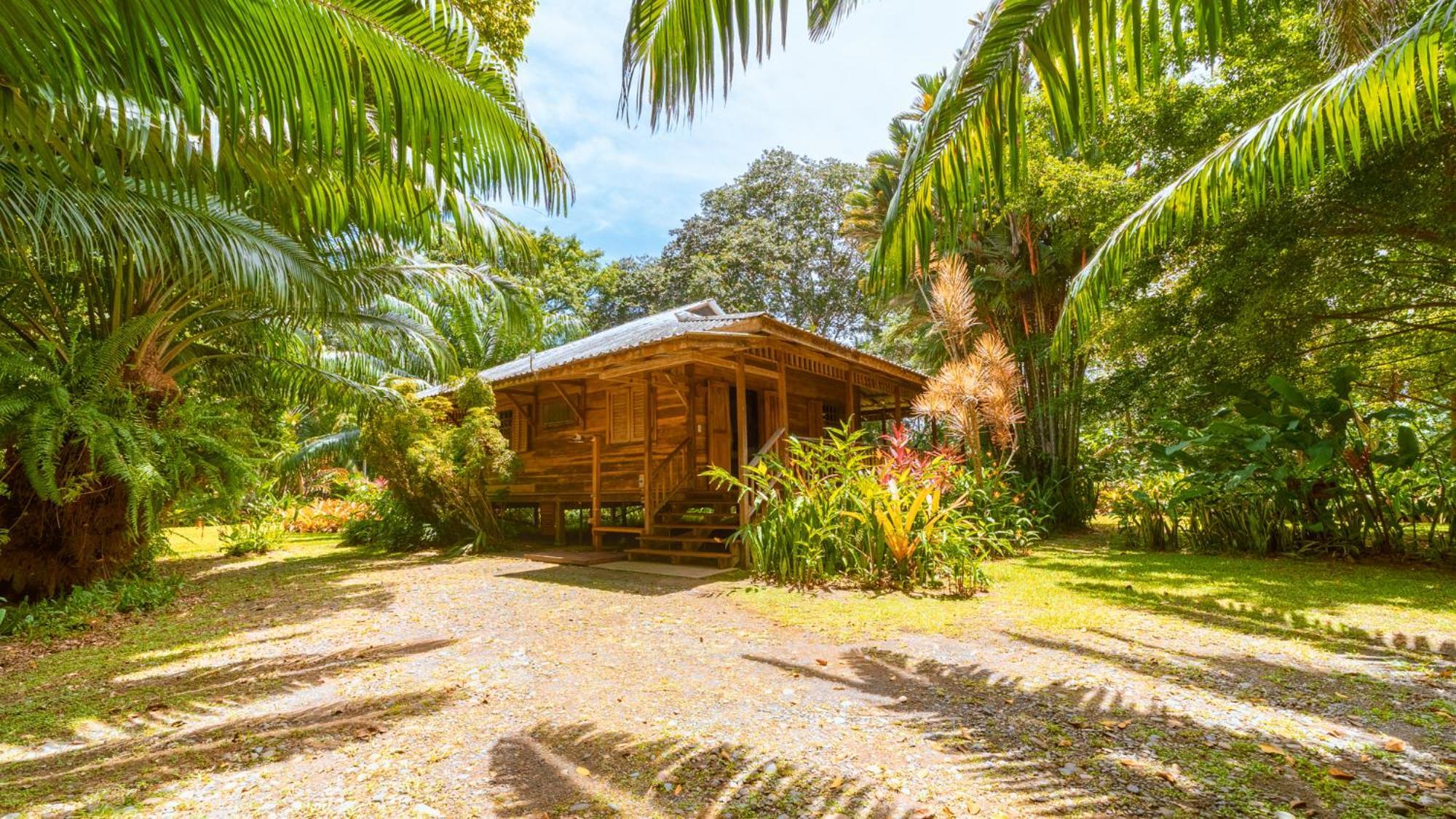 Casa Viva Lodge Puerto Viejo de Talamanca Zewnętrze zdjęcie