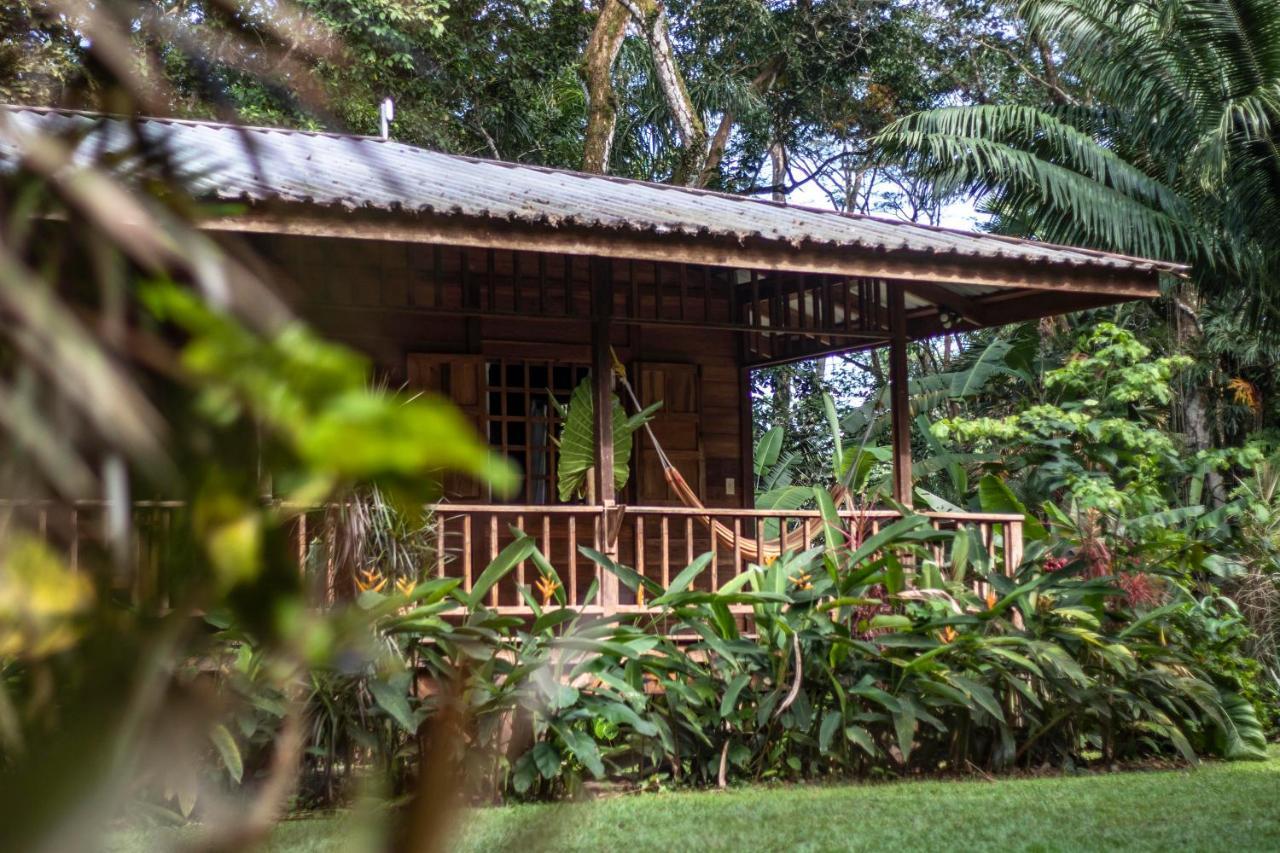 Casa Viva Lodge Puerto Viejo de Talamanca Zewnętrze zdjęcie
