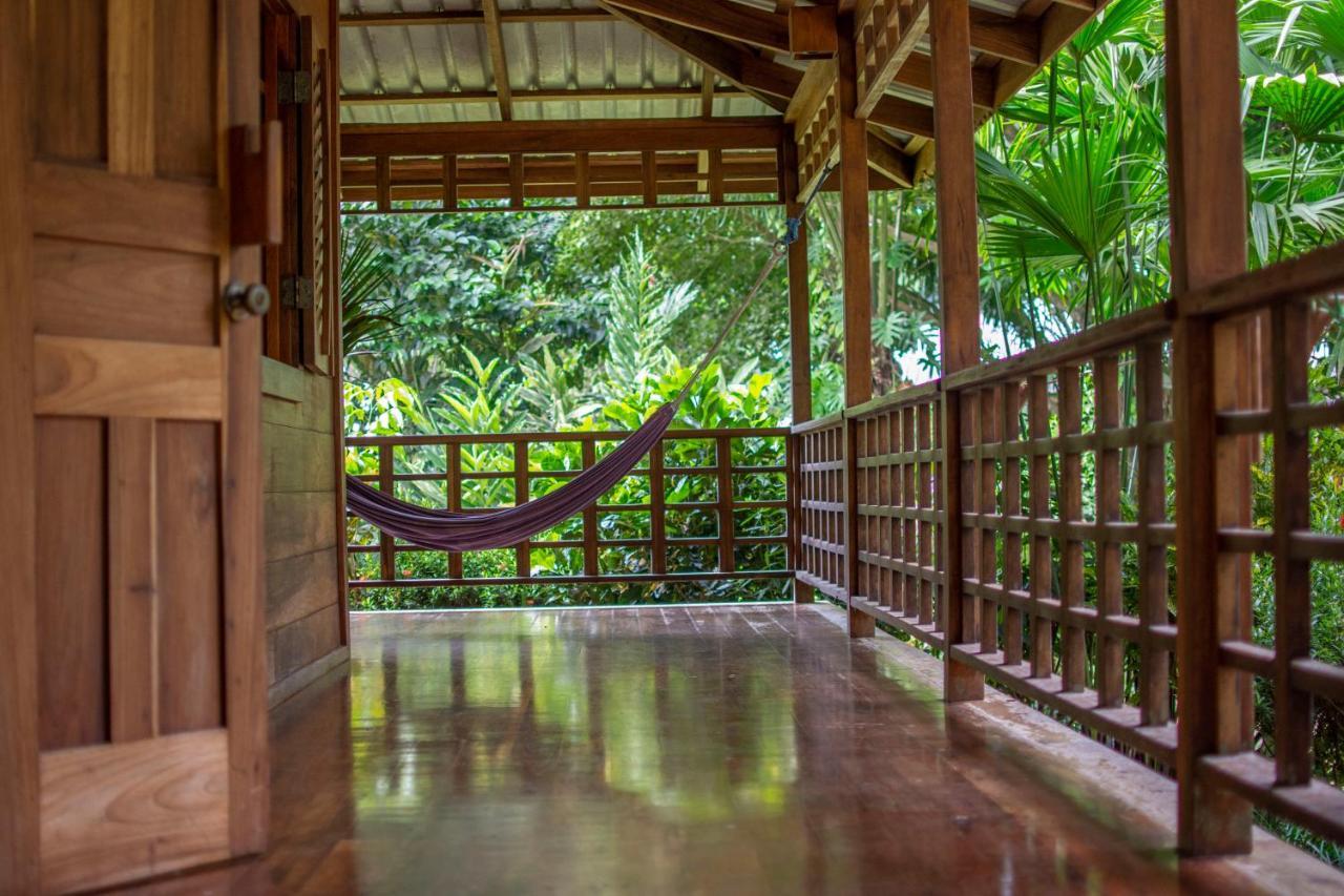 Casa Viva Lodge Puerto Viejo de Talamanca Zewnętrze zdjęcie