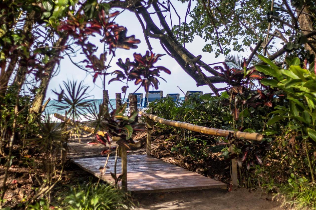 Casa Viva Lodge Puerto Viejo de Talamanca Zewnętrze zdjęcie