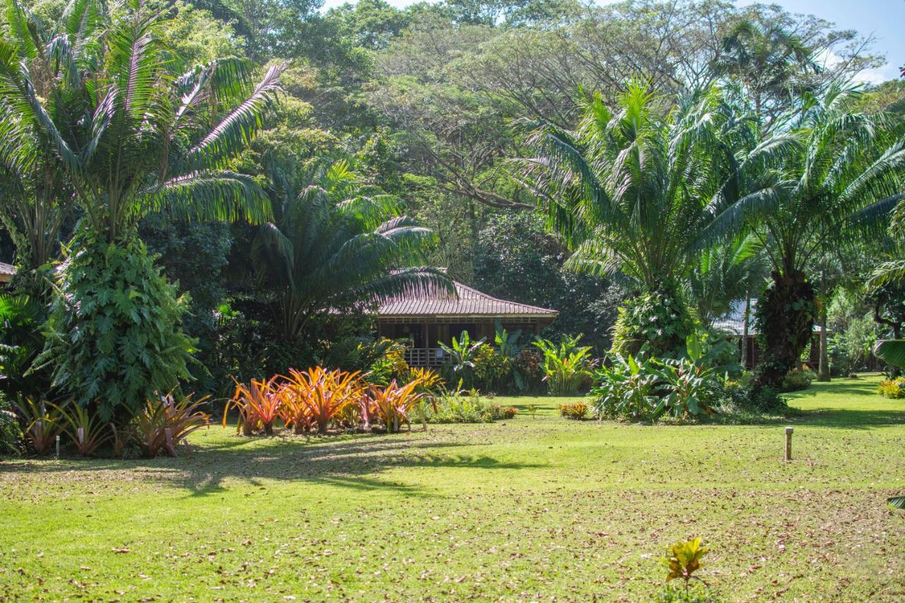 Casa Viva Lodge Puerto Viejo de Talamanca Zewnętrze zdjęcie
