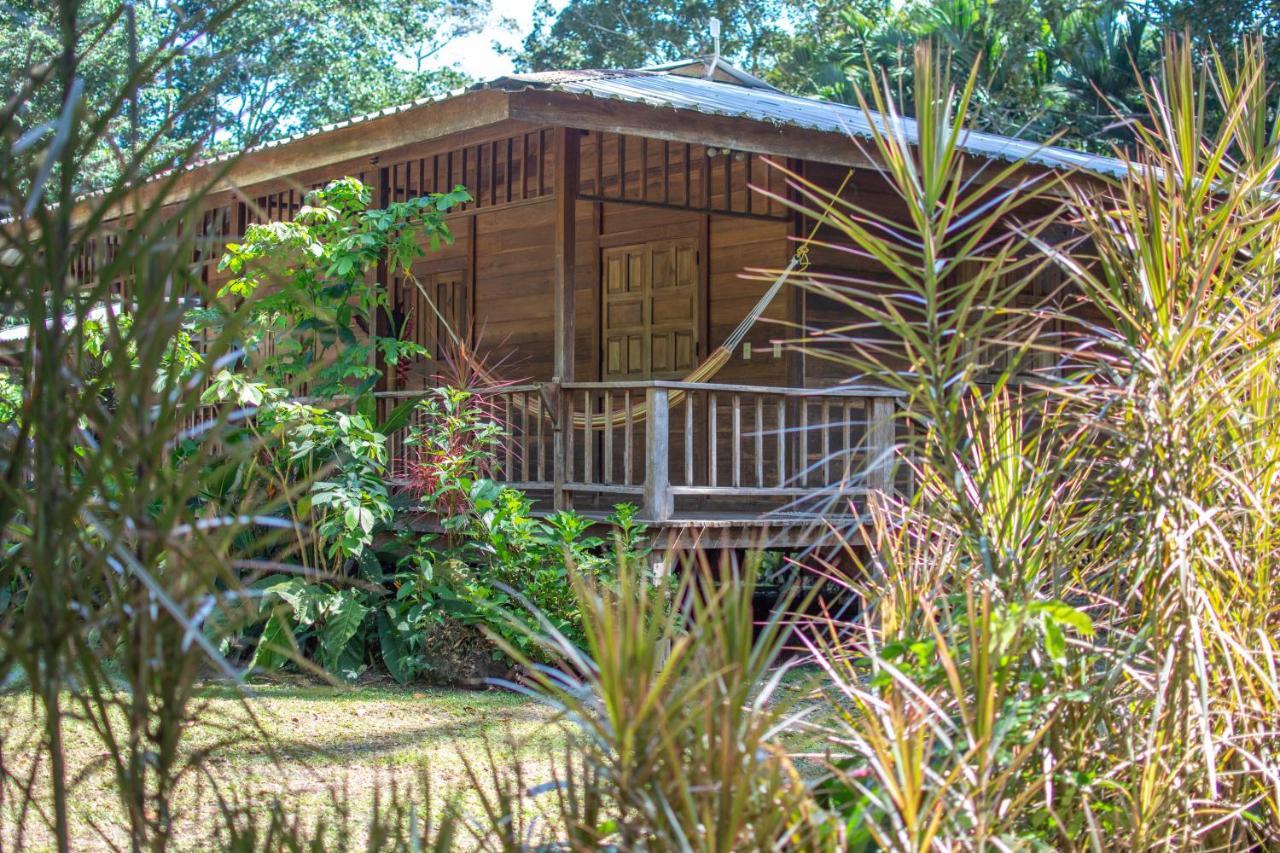 Casa Viva Lodge Puerto Viejo de Talamanca Zewnętrze zdjęcie