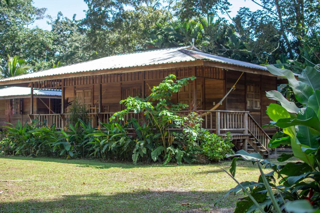 Casa Viva Lodge Puerto Viejo de Talamanca Zewnętrze zdjęcie