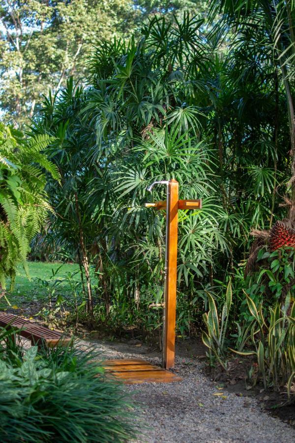 Casa Viva Lodge Puerto Viejo de Talamanca Zewnętrze zdjęcie