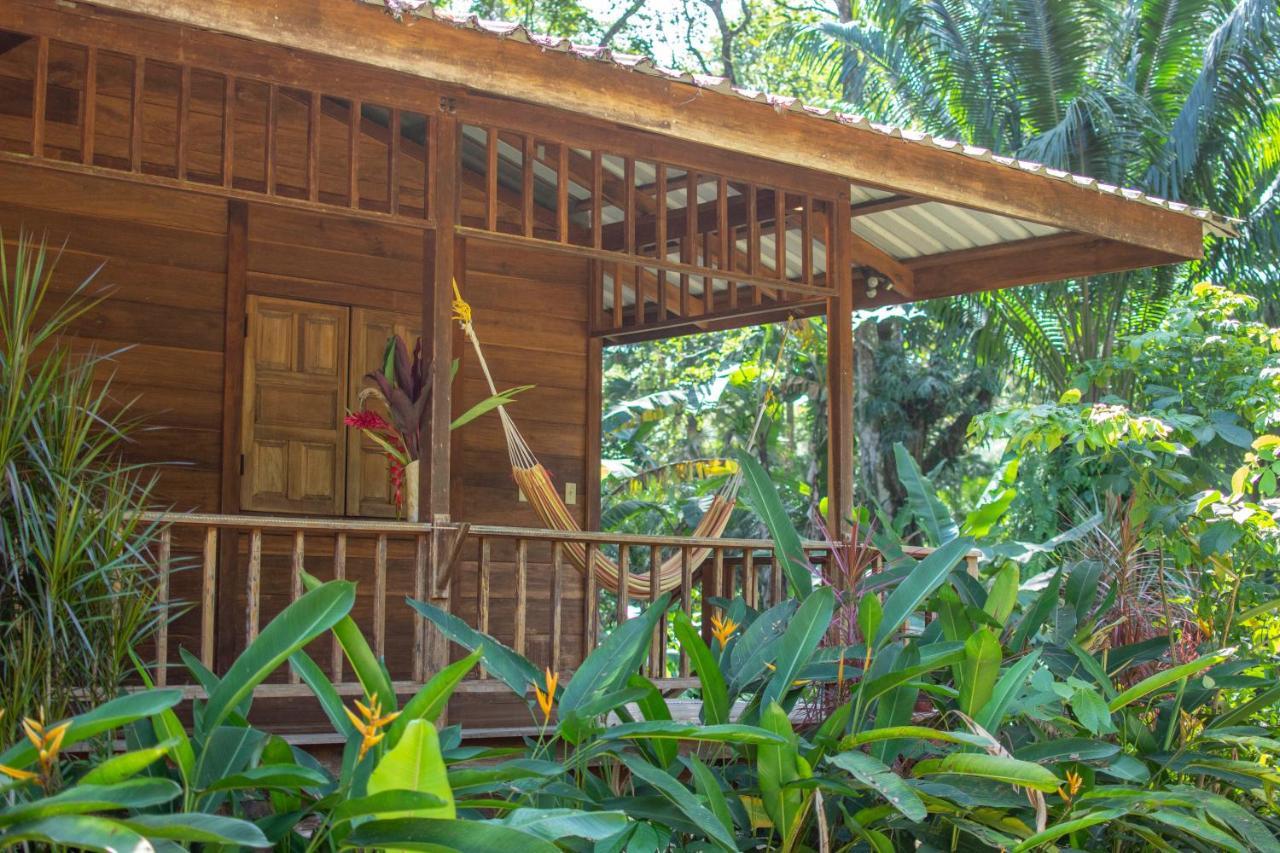 Casa Viva Lodge Puerto Viejo de Talamanca Zewnętrze zdjęcie
