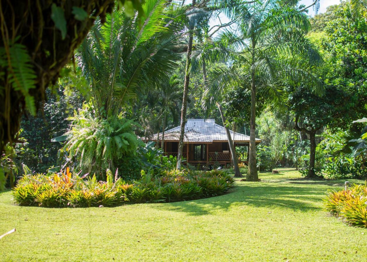 Casa Viva Lodge Puerto Viejo de Talamanca Zewnętrze zdjęcie